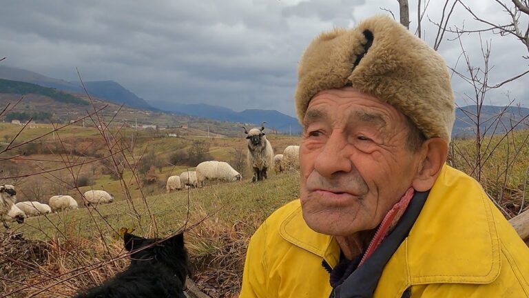 VIDEO PRILOG Srećka Stipovića: Zahvaljujući ovcama doživio 76 godina života